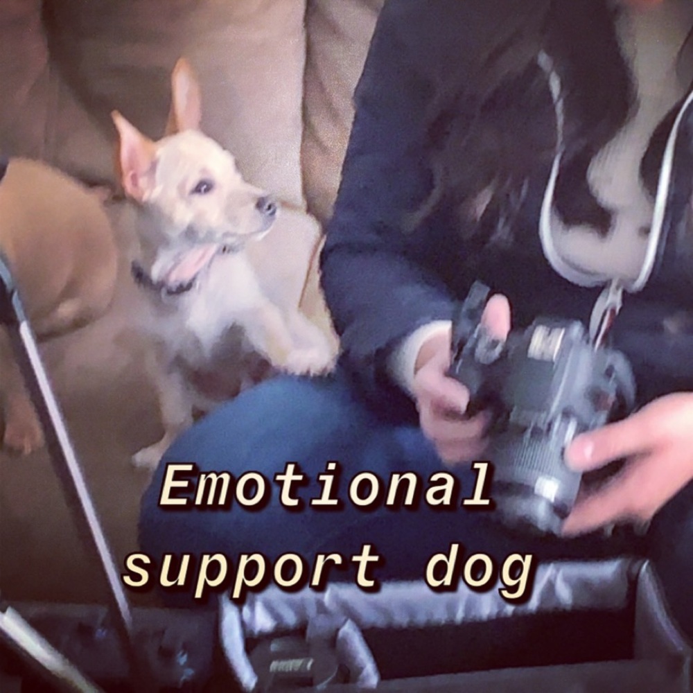 Meet your Posher, Timothy